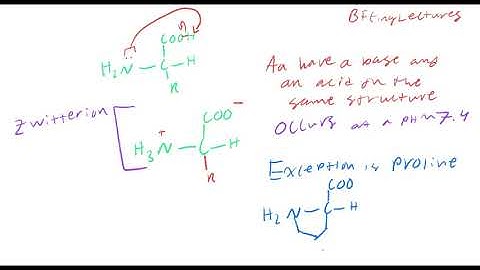 Biochemistry Lecture 4 Amino Acids