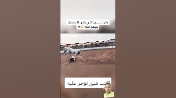 تلاوه خاشعه للشيخ عبد الرحمن مسعد #duet #خيل #المصحف #اكسبلور #خيل_عربي_اصيل