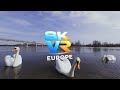 wans Up Close – Peaceful River in Poland 🇵🇱 (8K VR180 Nature)