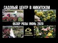 Садовый центр в Никитском. Июнь 2020