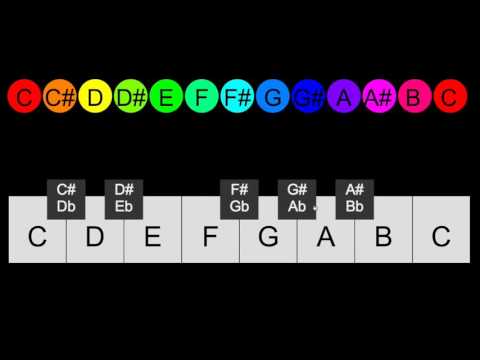 2---names-of-the-notes