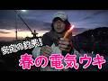 電気ウキで春の夜釣り！