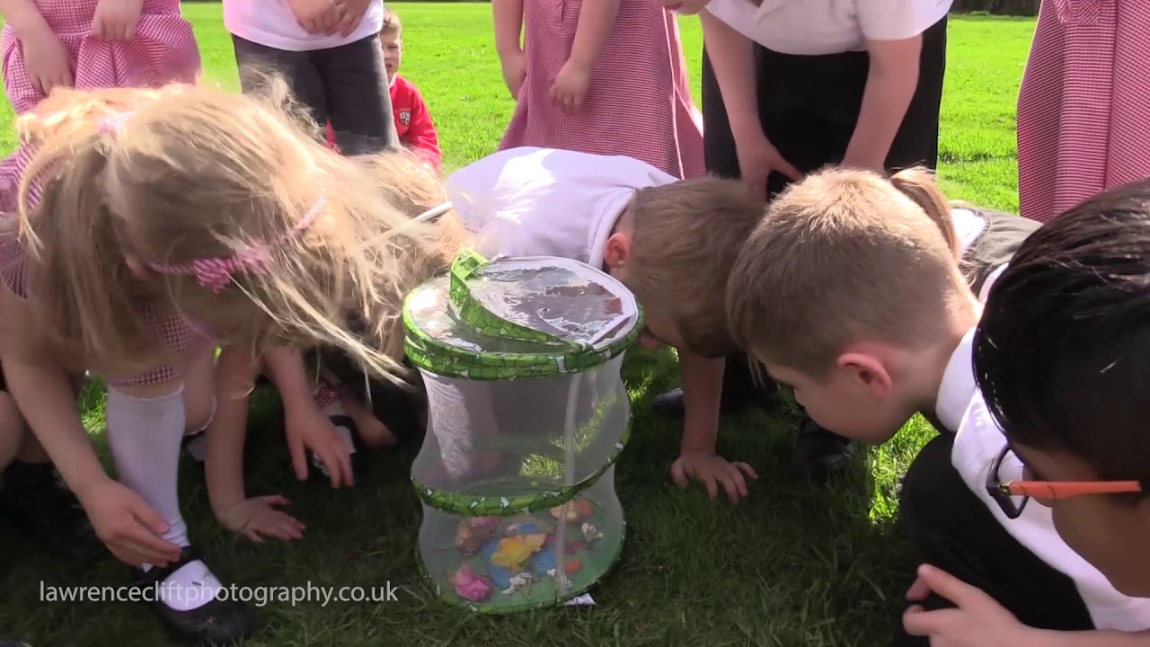 ST ANDREWS SCHOOL BUTTERFLY PROJECT 2018 sansotei ramen