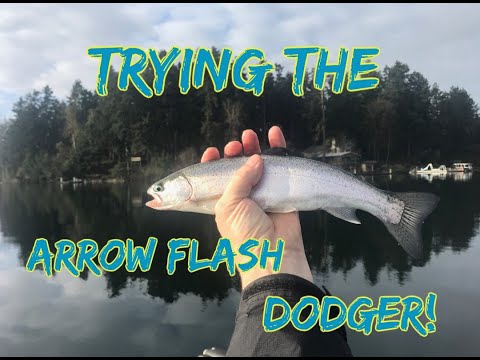 Catching Trout with Arrow Flash Dodgers, #Troutfishing