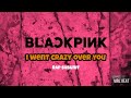 I WENT CRAZY OVER YOU BLACKPINK RAP SUBINIT Jennie Lisa Virlbeat Remix I WENT CRAZY OVER YOU BLACKPINK RAP SUBINIT Jennie Lisa Virlbeat Remix