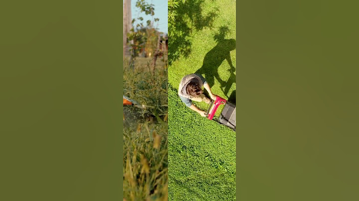 Moraflor landscaping