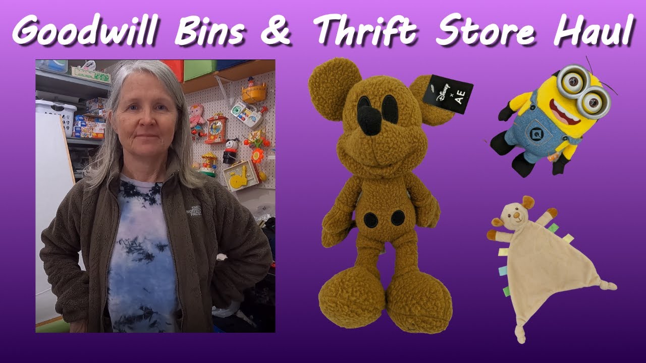 Goodwill Bins And Thrift Store Haul. These Are The Items I Bought To