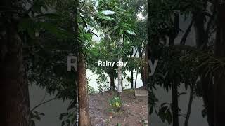 বৃষ্টির দিন/Rainy day