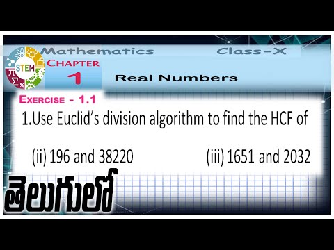 Use Euclid's division algorithm to find the HCF of (ii) 196 and 38220 (iii) 1651 and 2032 in telugu