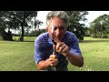 How to Draw the Golf Ball Every Time! Automatic, Simple and Easy Golf! PGA Pro Jess Frank