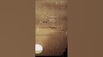 سورة التوبة - ياسر الدوسري