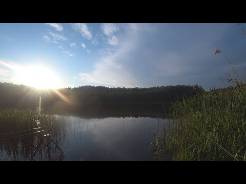 Видео: ТАМ ГДЕ ЛЕЖИТ ДУША||РЫБАЛКА С НОЧЕВКОЙ||ФИДЕР|МАЙ 2024 БЕЛАРУСЬ