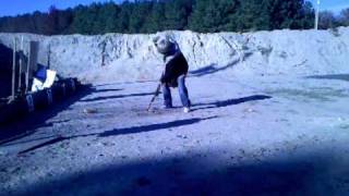 MDShooters Fall Shoot 2010 - Logan The Impaler
