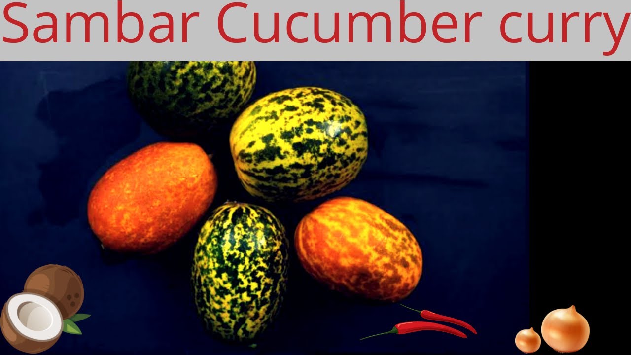 Sambar Cucumber curry | #mangalore #cucumber #curry #cooking #recipe # ...