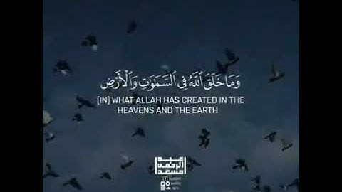 إن في اختلاف الليل والنهار وما خلق الله في السماوات والأرض لآيات لقوم يتقون
