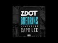 Zdot  bredrins feat capo lee