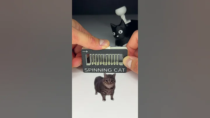 4K OIIA Spinning Cat Rave Fidget