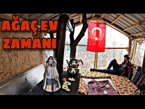 Video: Ağaç Ev