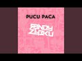 Pucu paca