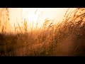 CRT: CHRISTIAN RAPTURE THEOLOGY