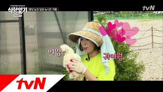 fooddiary 텅 빈 농장에서 닭과 대화하는 정체불명의 여인은? 180801 EP.9