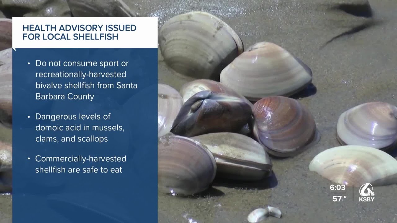 Health officials issue advisory after domoic acid found in local shellfish