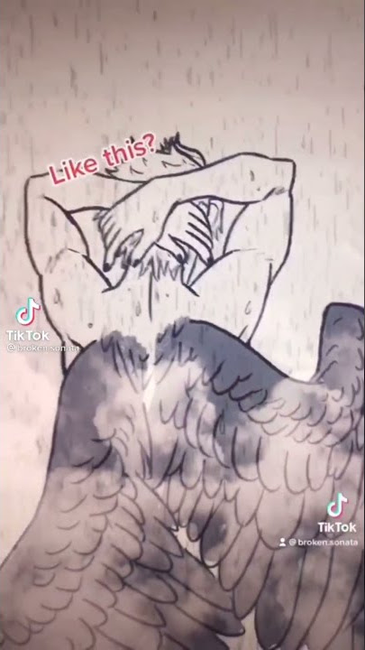 this or that hawks #anime #bnha #mha #myheroacademia #spicy #shorts #tiktok #edit #hawks #art #birds