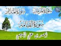 سوره المزمل المدثر القيامه الشيخ احمد بن على العجمى القرآن الكريم