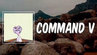 Watch Ritt Momney Command V video