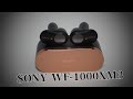 best noise true wireless earbuds- sony wf-1000xm3