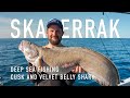 Skagerrak Deep Sea Fishing - Cusk and Velvet Belly Shark