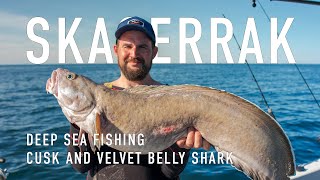 Skagerrak Deep Sea Fishing - Cusk and Velvet Belly Shark