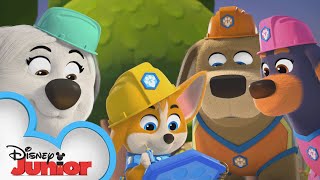 Pupstruction Crew Build's a Blueprint! 👷‍♀️🐶| Pupstruction | Compilation | @disneyjunior​