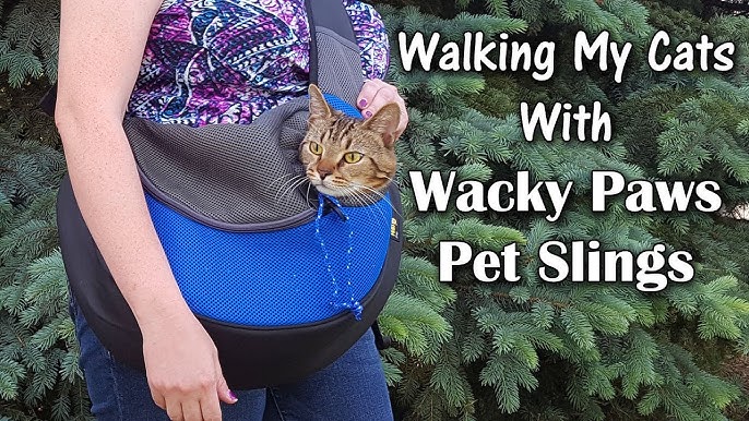 Cat-in-the-Bag Cozy Comfort Carrier Large Cobalt Blue Cat Bag Pet Carrier for Grooming, Vet Visits, Medication Administration, D