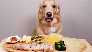 ASMR Dog Reviewing Korean Boiled Pork(Suyuk)