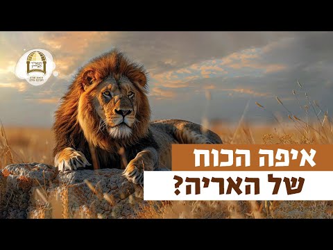 איפה הכוח של האריה? | רגע של אור עם מו"ר הרב ישראל אברג'ל שליט"א
