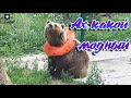 Примерка, где смотрится лучше?🐻⭕