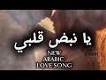    2025 يا نبض قلبي