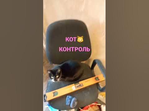 КОТ-РЕМОНТ🐱КОТ-КОНТРОЛЬ - YouTube