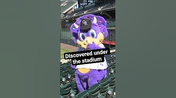 The incredible true story behind the Colorado Rockies mascot, Dinger. #mlb #baseball