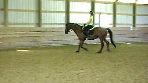 Collette and Mason, transitions