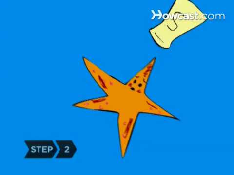 How to Eat Starfish - YouTube