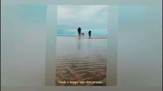 Birds of a feather (Billie Eilish cover) by Jordan Greenwald. Full