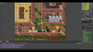 Tibia Solera PK - Atake Maker 2