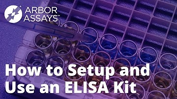 How to Setup and Use An ELISA Kit - Arbor Assays