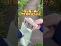 5億当選し女子による社会貢献✊🏻🌟#困ってる人に届け #おすすめにのりたい