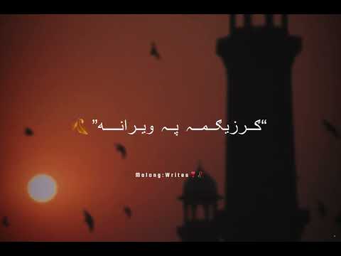 Shaida Che Za Pa Ta Shma Imrankhan Pashto Poshtolines Foryou Song Urdupoetry Explore 