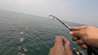 Download Lagu Mancing start Kalibaru dengan kapten Ariz Spot Nirwana dan pulau damar MP3