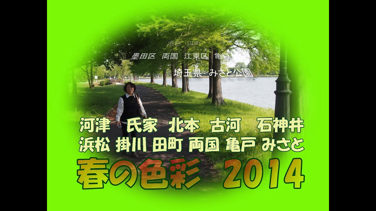 201403-04 桜　春の色彩　河津　氏家　北本　古河　石神井　浜松　掛川　田町　両国　亀戸　三郷　koba84