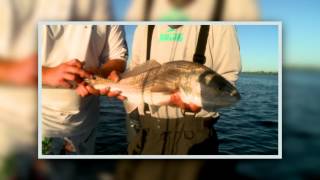 Fishing with Jersey Justin: Mosquito Lagoon Redfish with Capt Jamie Glasner
